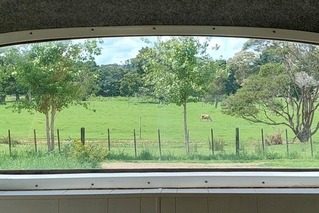 Evi The School Bus At Oromahoe Downs Farm Puketona エクステリア 写真